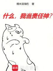 什么我当责任神 糯米滋海豹