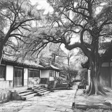 账房先生高端叫法