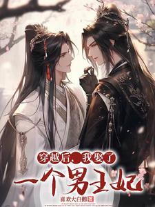 穿越后我嫁给了两个男人/暮色酒歌