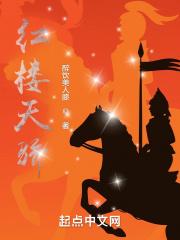 红楼天骄免费阅读无弹窗