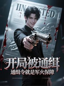 开局就被全国通缉